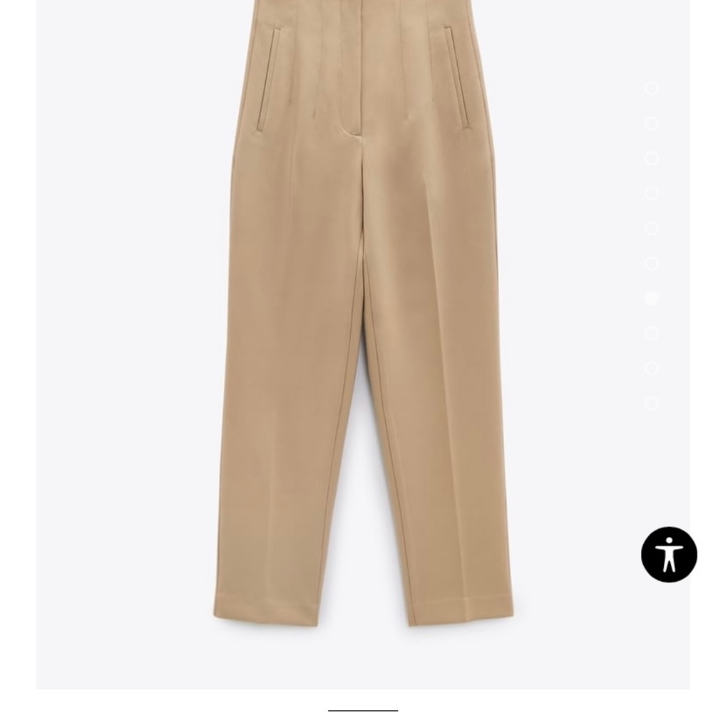 Zara High Waisted Pants
